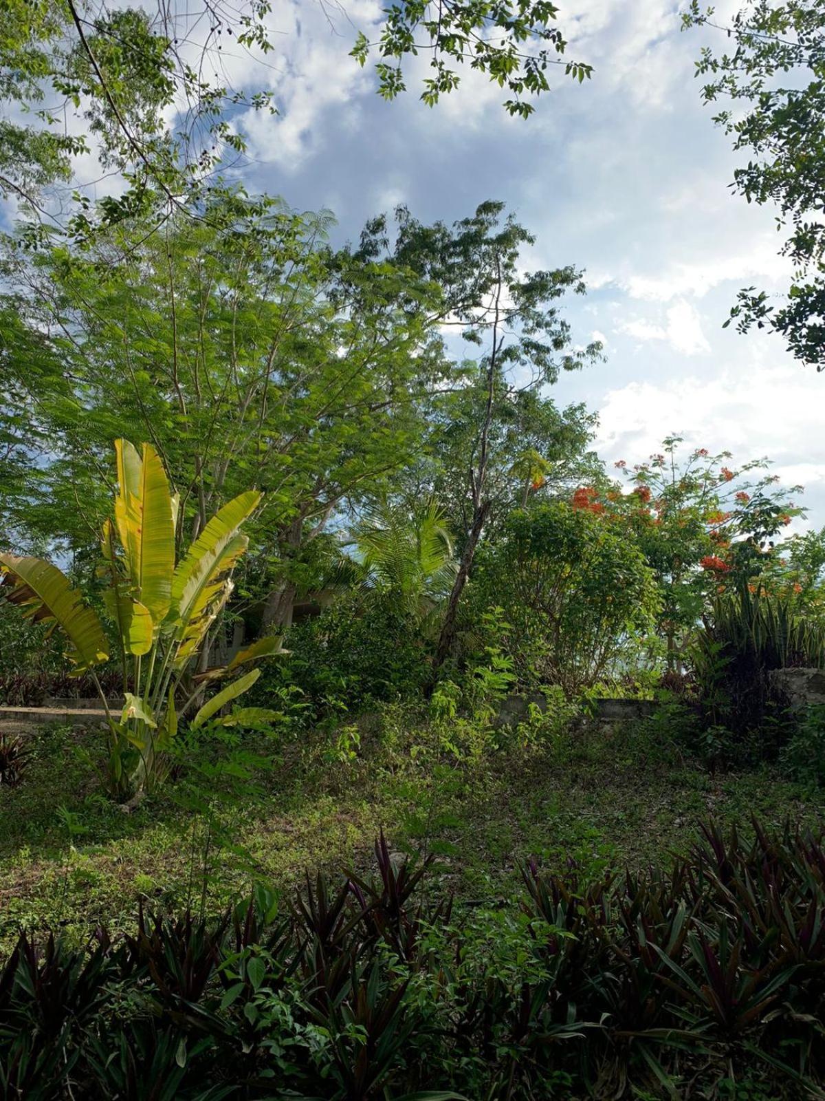 El Encanto - Hotel Boutique Chichén-Itzá Exteriér fotografie