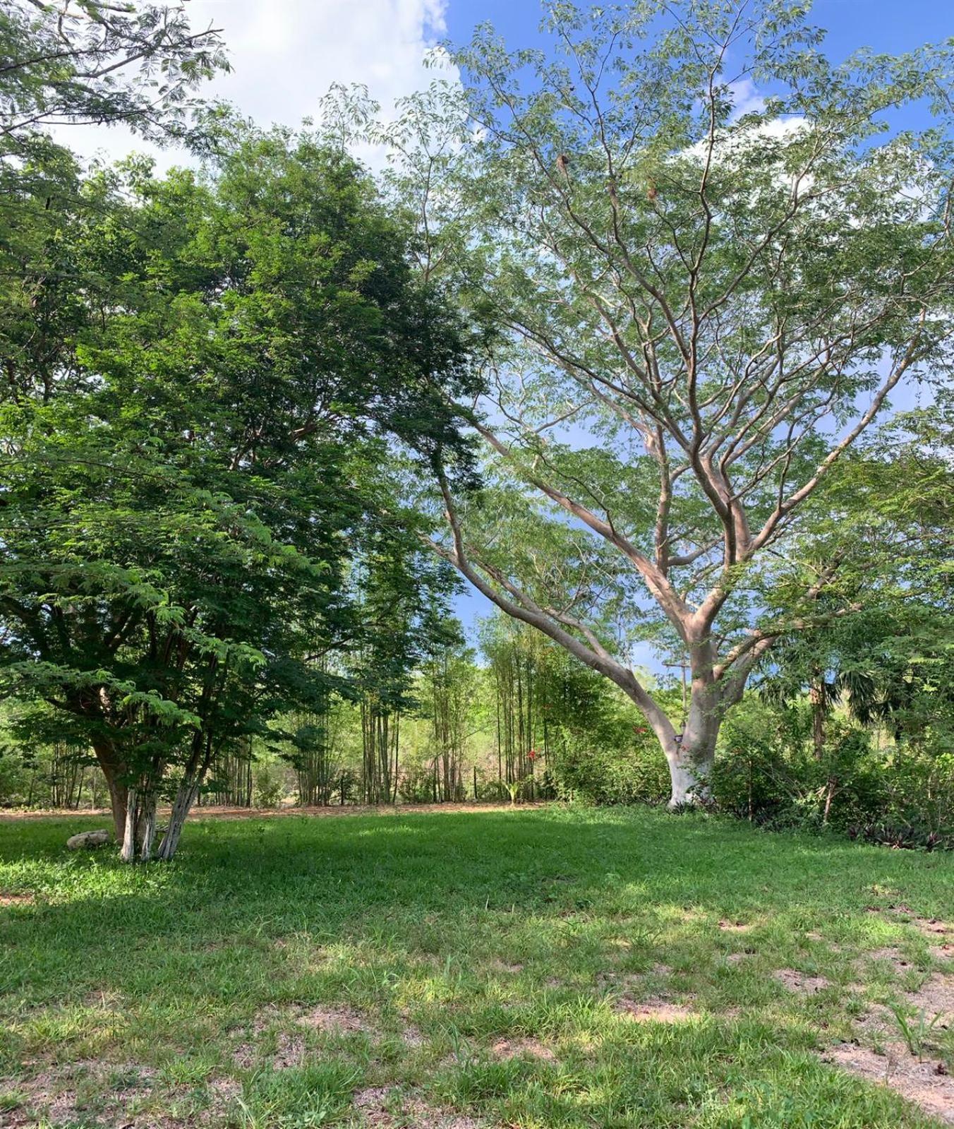 El Encanto - Hotel Boutique Chichén-Itzá Exteriér fotografie